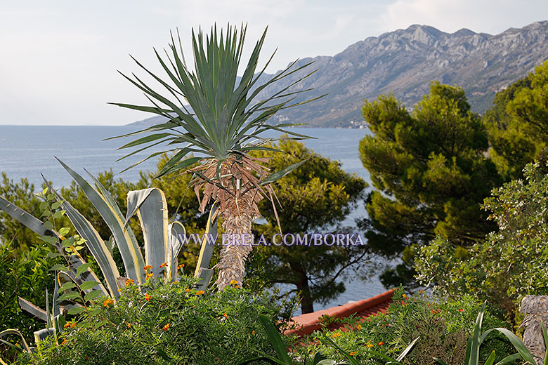 apartments Borka, Brela - sea view from terrace