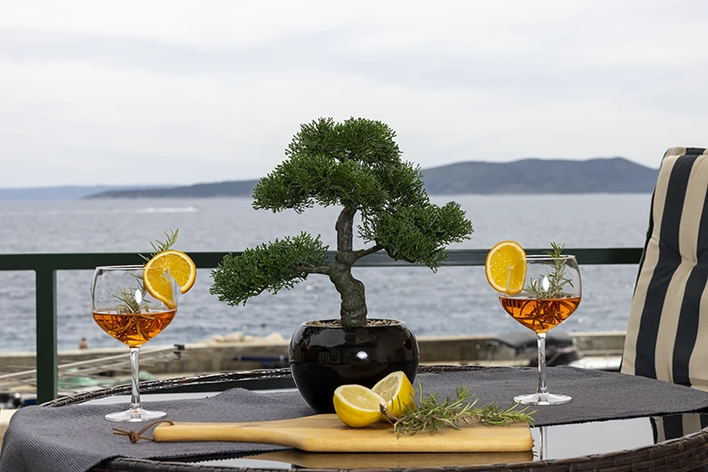 Apartments StoMarica, Brela - veranda