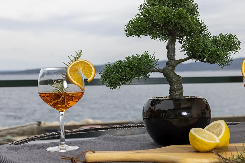 Apartments StoMarica, Brela - veranda