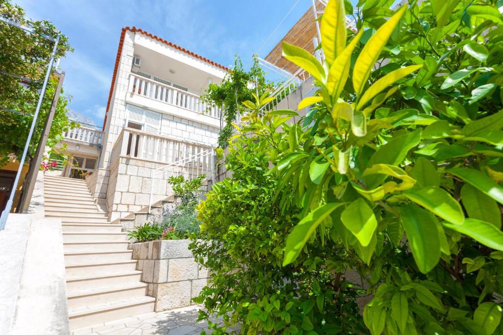 apartments Ledić, Brela - entrance