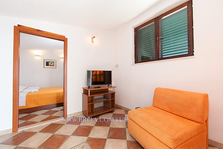 apartments LUSI, Brela - TV