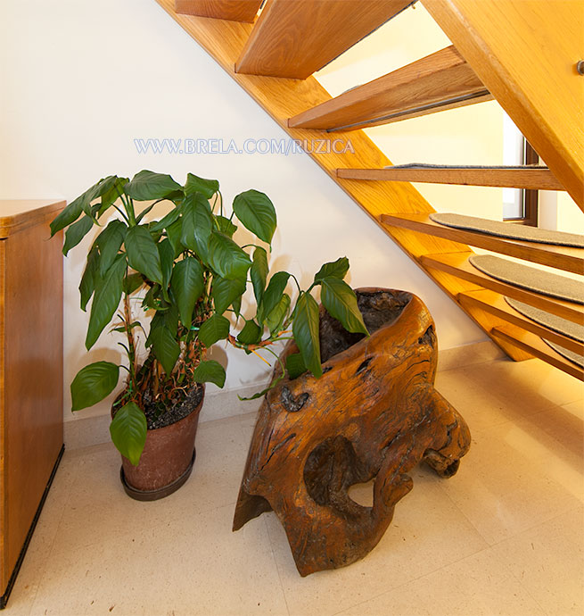 apartments Ru�ica �ami�, Brela - old oak furniture