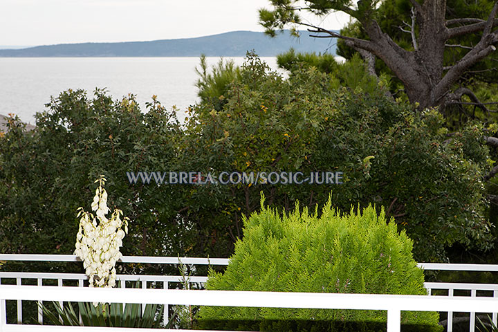 apartments Jure &Scaron;o&scaron;ić, Brela - sea view from balcony